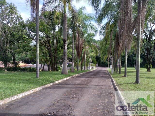 #180 - Chácara para Venda em Limeira - SP - 1