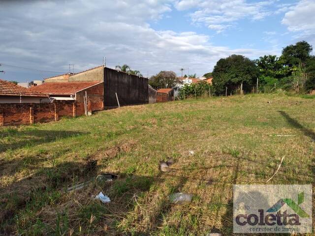 #195 - Área para Venda em Limeira - SP - 2