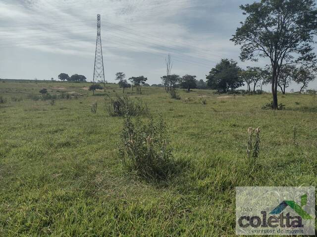 #239 - Sítio para Venda em Limeira - SP