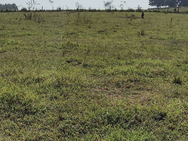 Sítio para Venda em Limeira - 5
