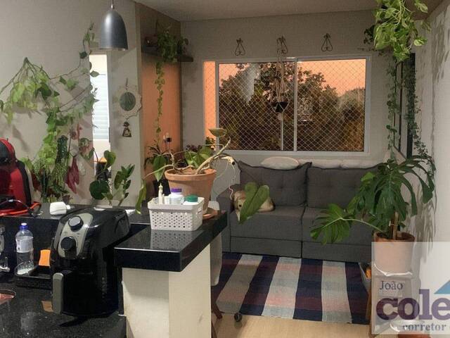 #426 - Apartamento para Venda em Limeira - SP - 2