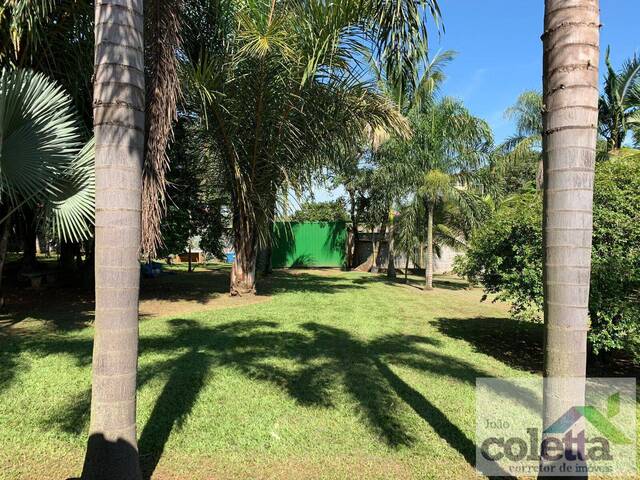 #482 - Chácara para Venda em Limeira - SP - 1
