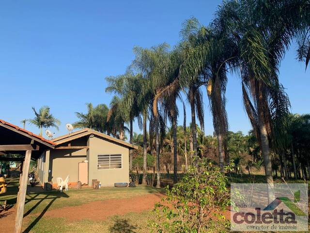 #483 - Chácara para Venda em Limeira - SP - 3