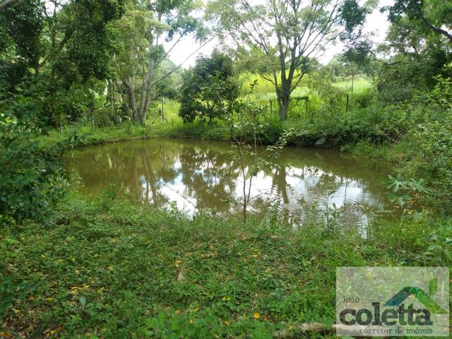 Sítio para Venda em Limeira - 5