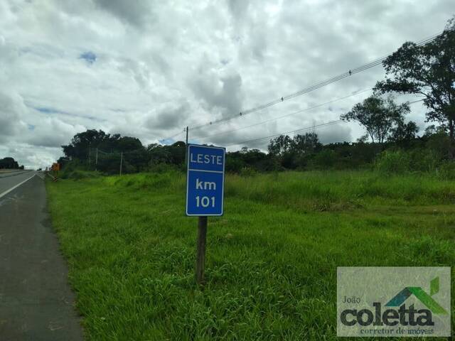 #622 - Sítio para Venda em Limeira - SP - 3
