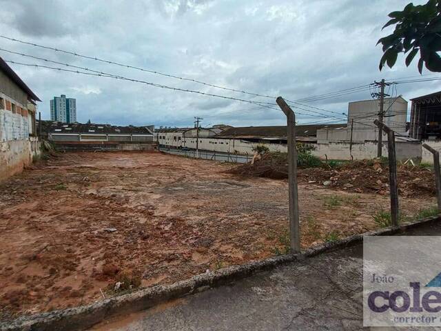 #705 - Área para Venda em Limeira - SP - 3