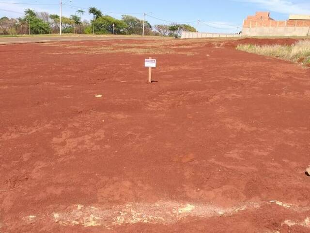 #884 - Área para Venda em Limeira - SP - 1