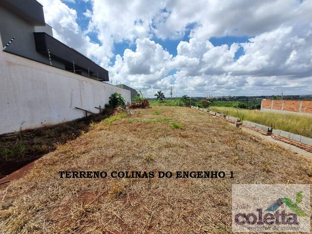 #897 - Área para Venda em Limeira - SP - 1