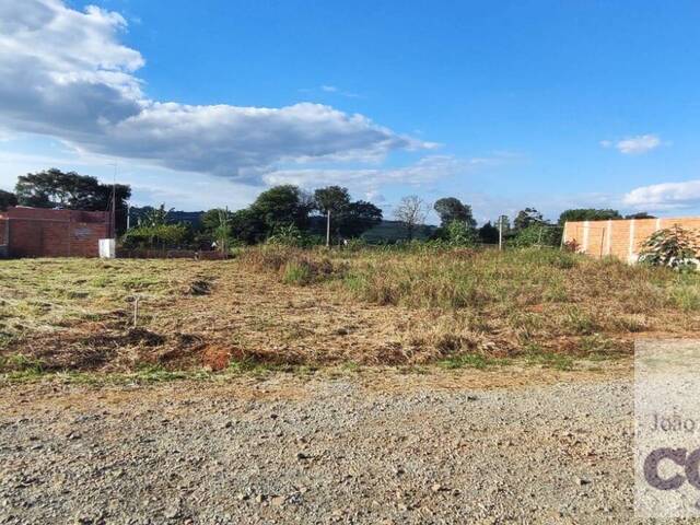 #899 - Chácara para Venda em Limeira - SP - 1