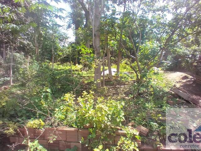 Área para Venda em Limeira - 4