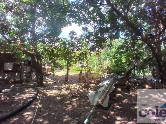 #903 - Área para Venda em Limeira - SP - 3