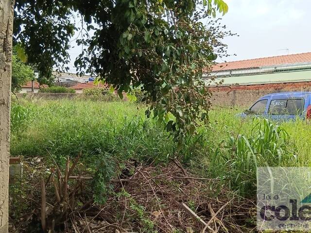 #928 - Área para Venda em Limeira - SP - 3